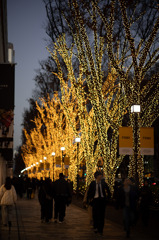 イルミネーション