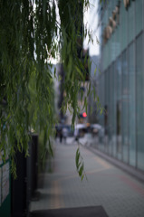 銀座柳通り