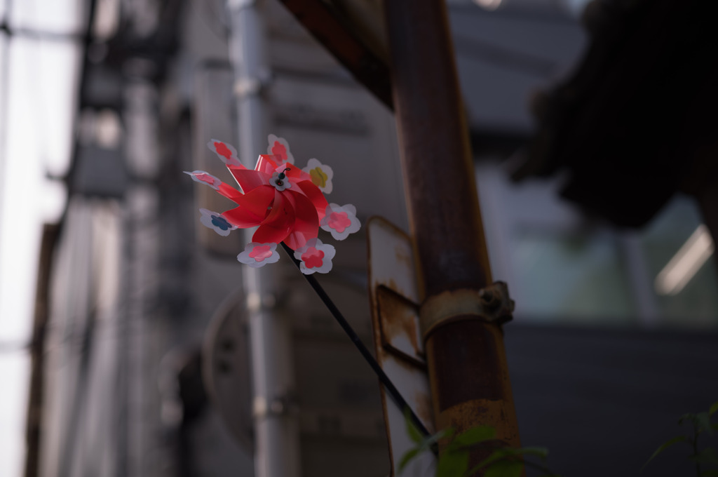 かざぐるま