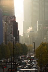 新宿・甲州街道