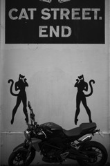 CAT STREET