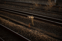 線路の風景