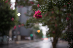 雨の日