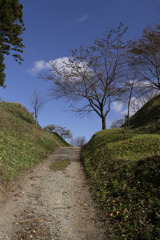道