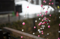 餅花を飾る