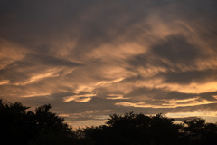 夕刻の空