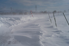 雪風に立つ
