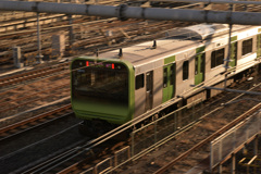 上野にて