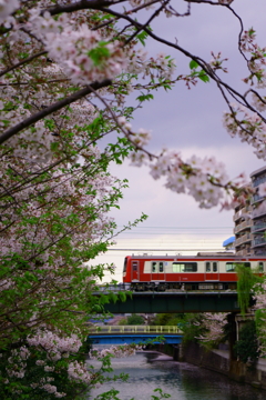 春は京急