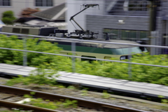 頭だけチラリ