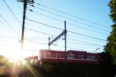 1731F