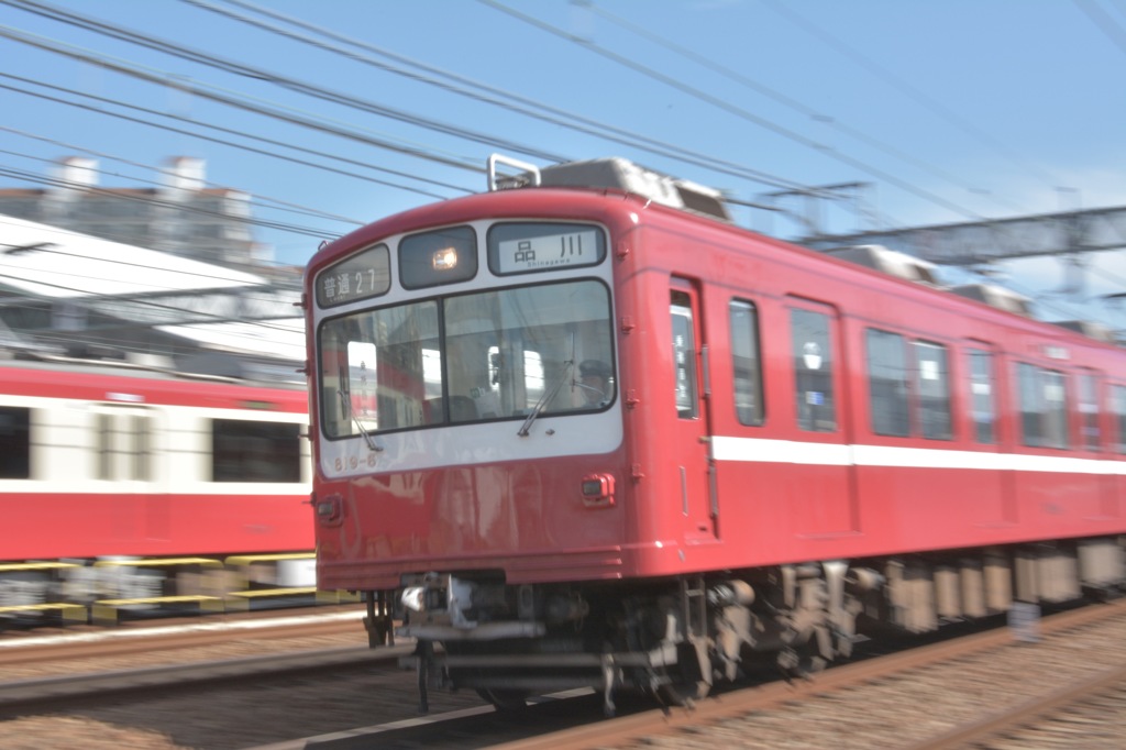ダルマ