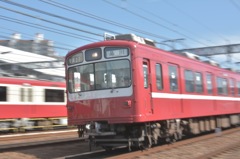 ダルマ