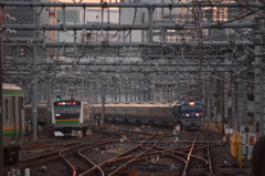夜行列車が居る風景