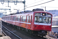 8161F