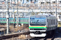 東海道E231系