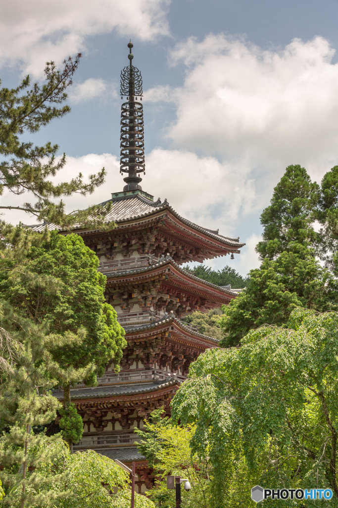 醍醐寺五重の塔