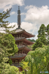 醍醐寺五重の塔
