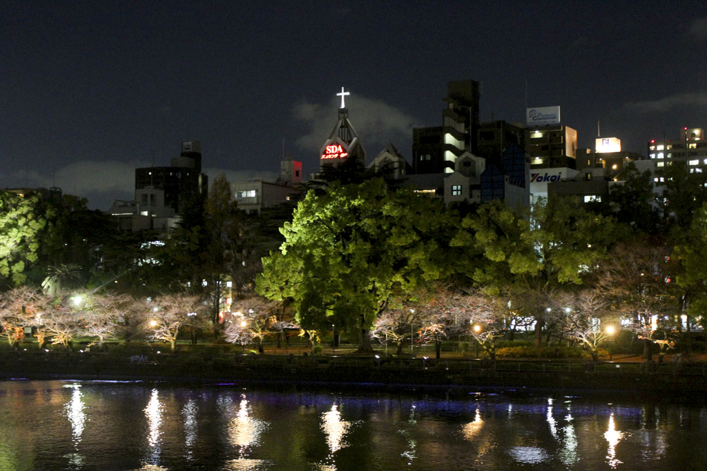 妙な夜