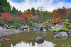 浄土庭園・秋 