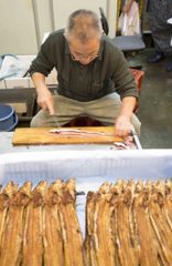 あなごいかがですか？