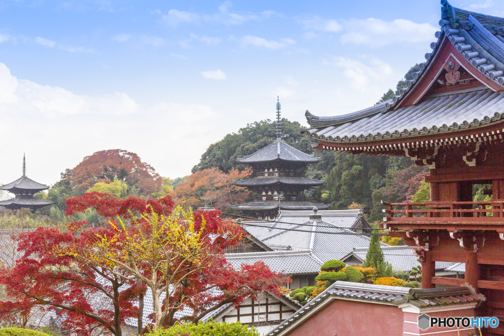 当麻寺・秋 