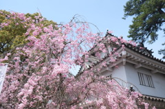小倉城にて