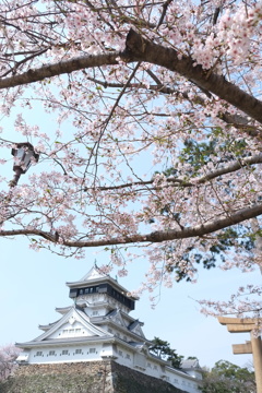小倉城