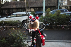Waiting for him owner.