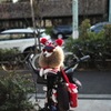 Waiting for him owner.