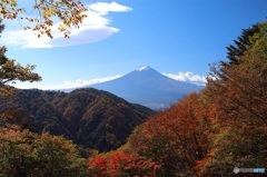 10月27日富士日和その⑥