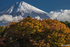 何も言えなくて、、、秋