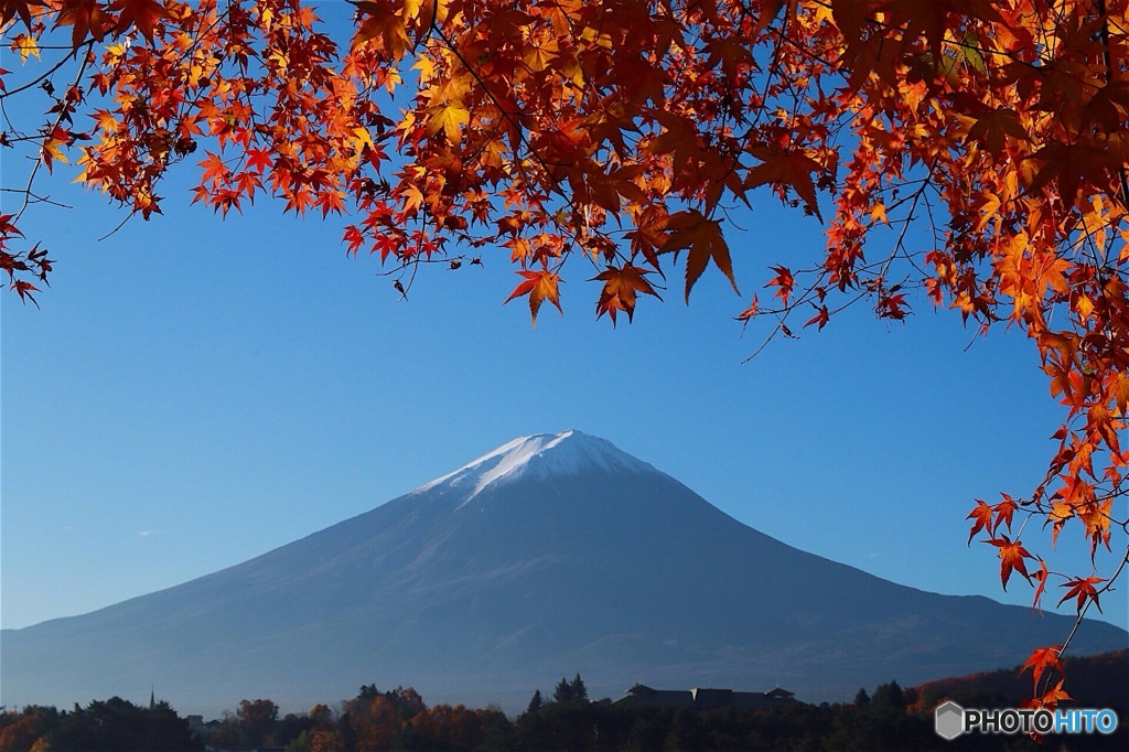 口湖と紅葉