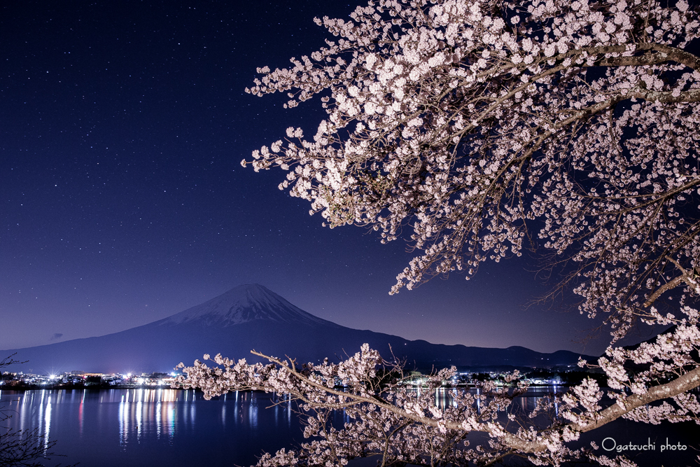 富士と桜②