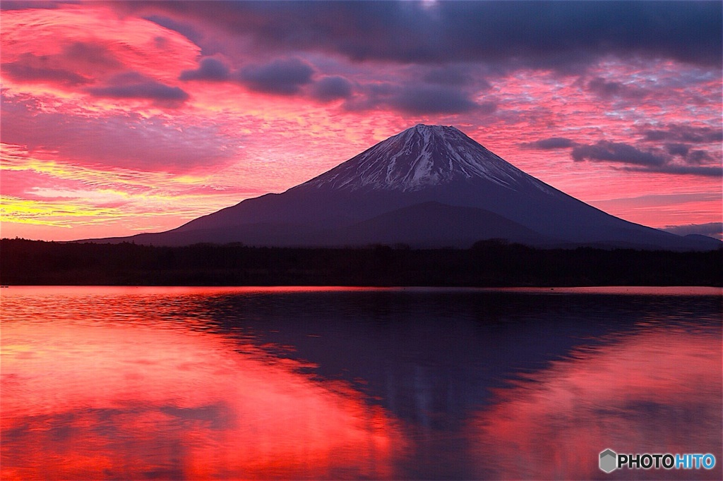 富士山 赤ワイン漬け