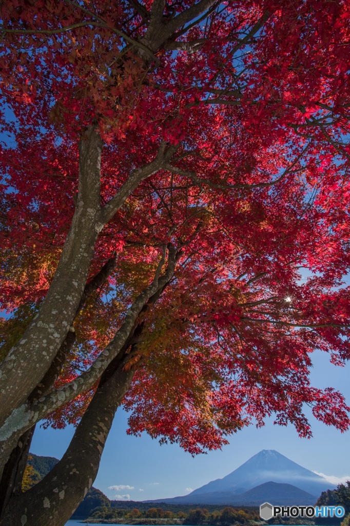 湖畔の紅葉始まる 2016.11.4