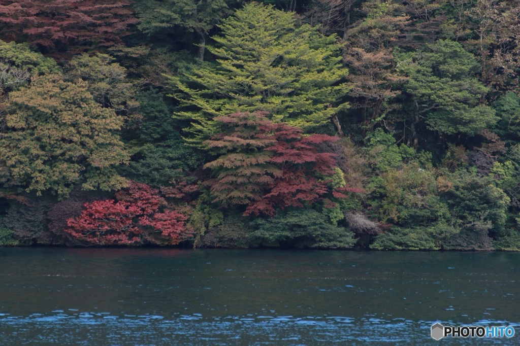 これから秋本番！