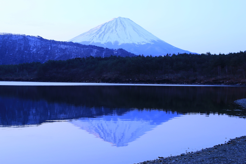 西湖からの富士②