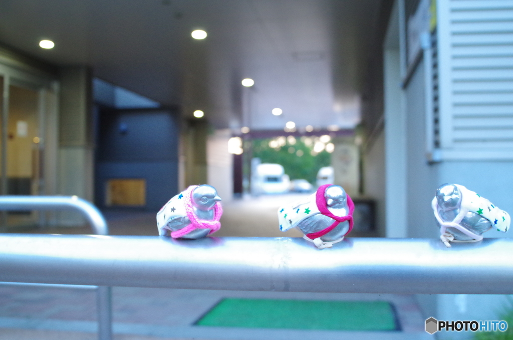 スズメ