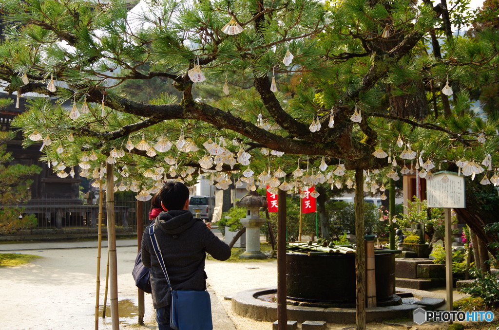 寺　松