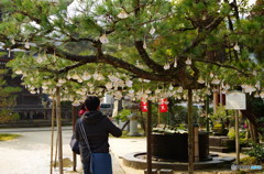 寺　松