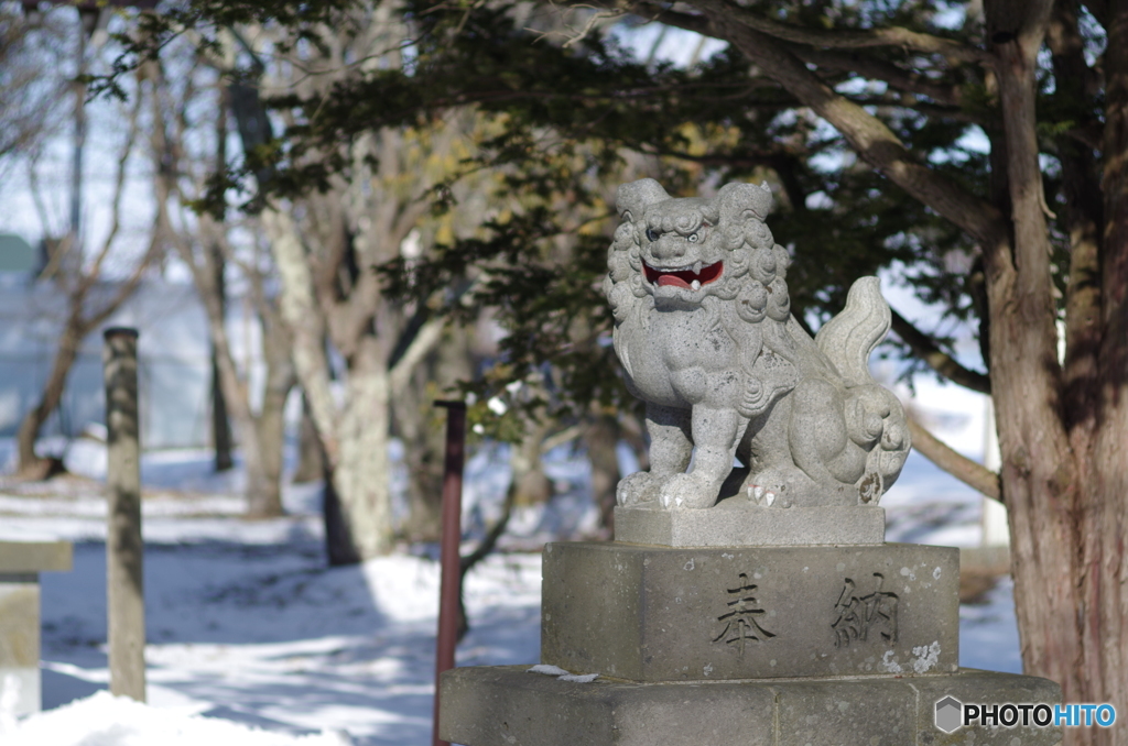 神社　狛犬
