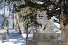 神社　狛犬