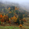 山田牧場