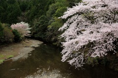 〜伊勢横輪〜