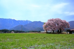 アルプスと草原と
