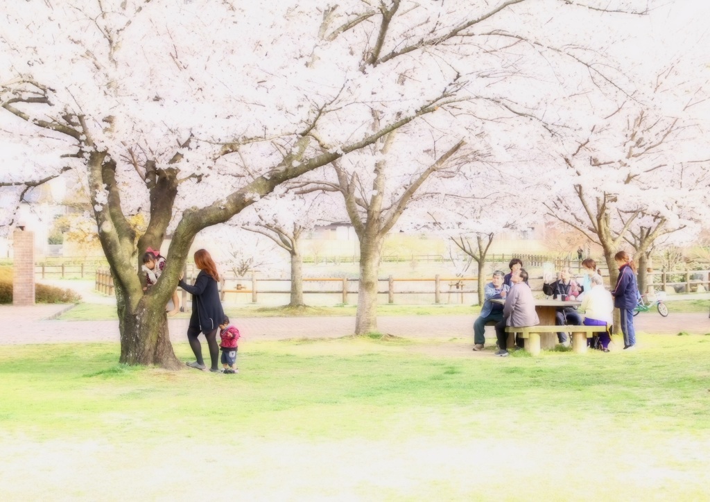 〜ぽかぽか桜の下で〜