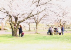 〜ぽかぽか桜の下で〜