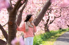 〜河津桜〜