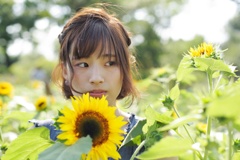 夏の太陽と